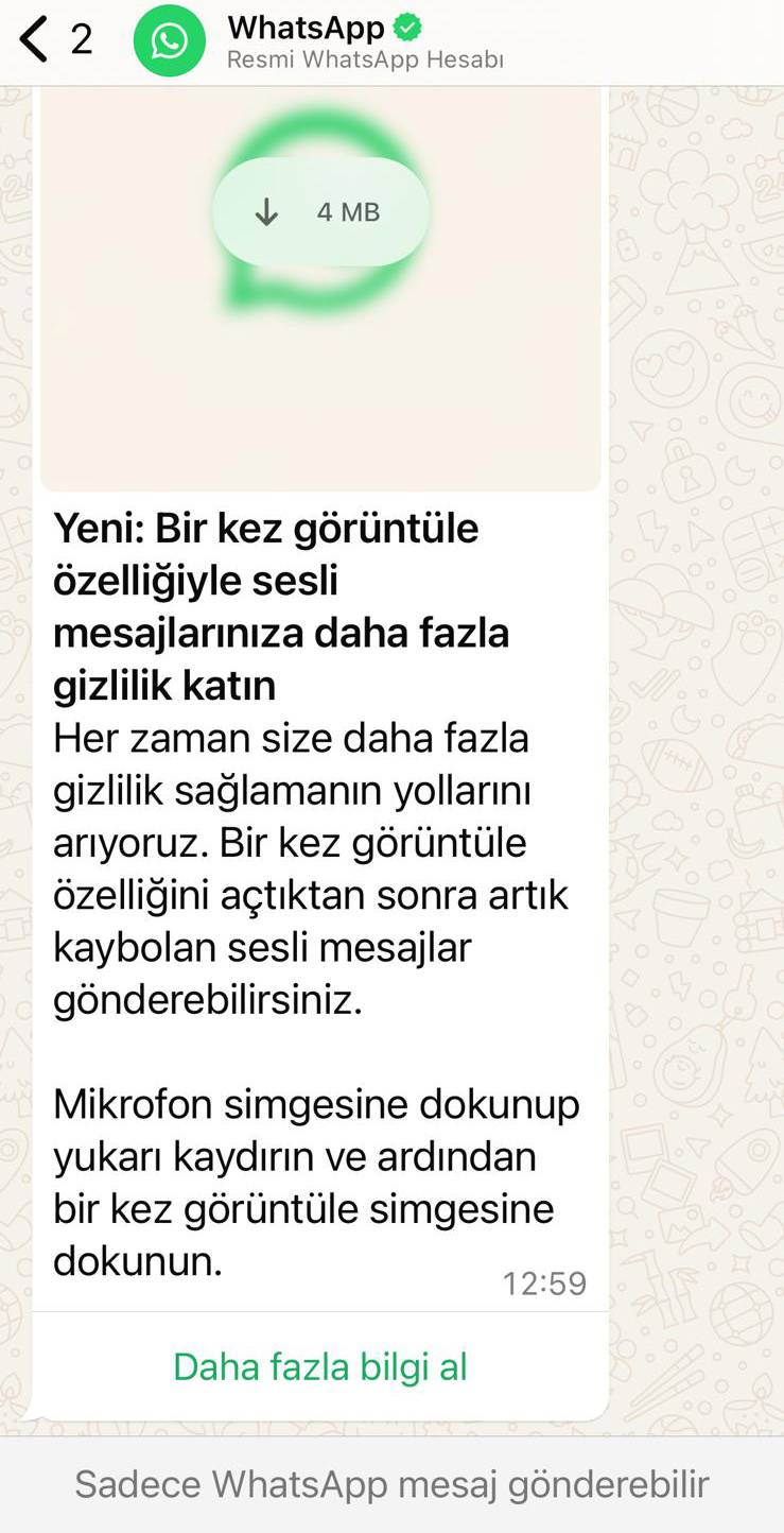 Whatsapp'a yeni özellik: Gizlilik sevenlerin çok hoşuna gidecek 12